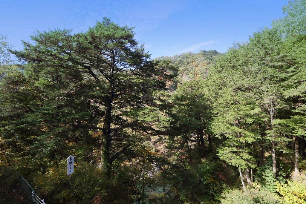 Tsuganoki Hotel Nikko Eksteriør billede