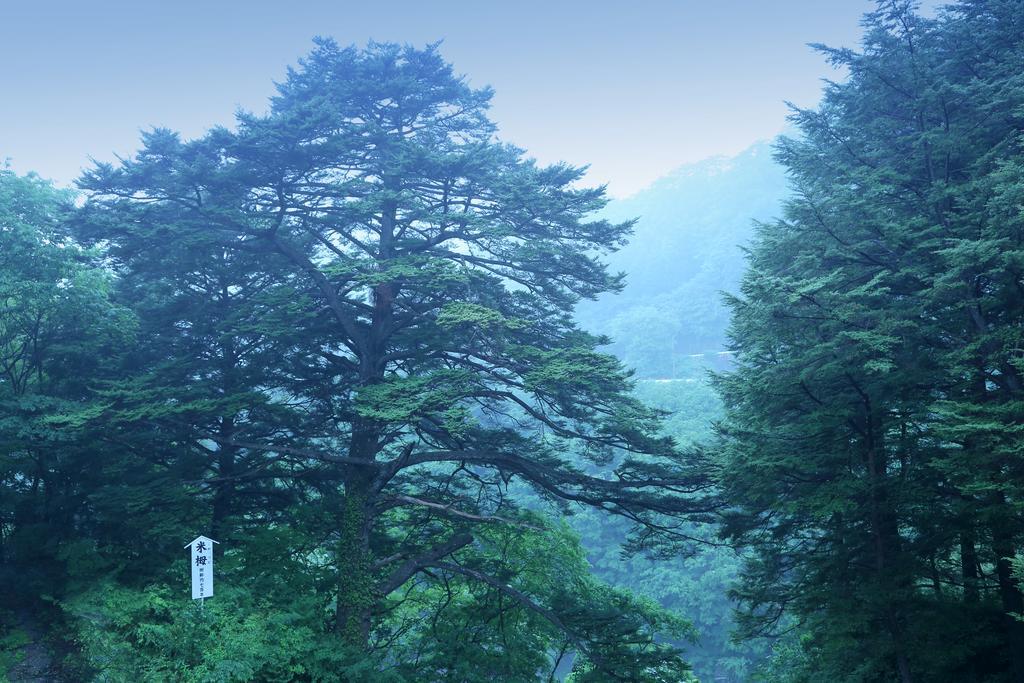 Tsuganoki Hotel Nikko Eksteriør billede